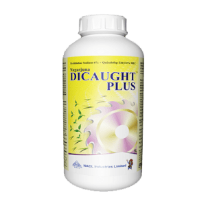 Dicaught plus product