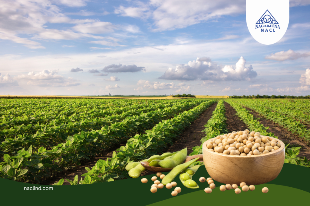 Maximizing Soybean Yields: Expert Tips for the Best Crop Production