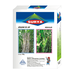 Surya product