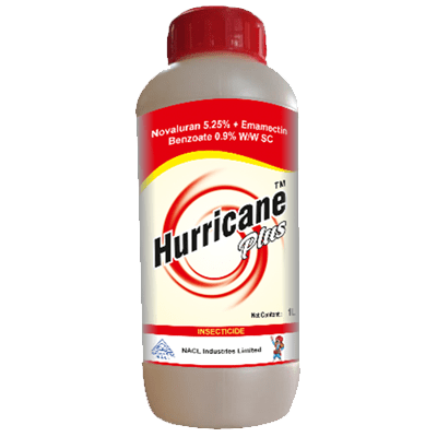 Hurricane plus
