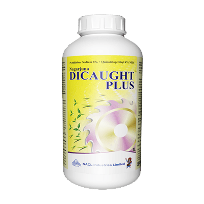 Dicaught plus product