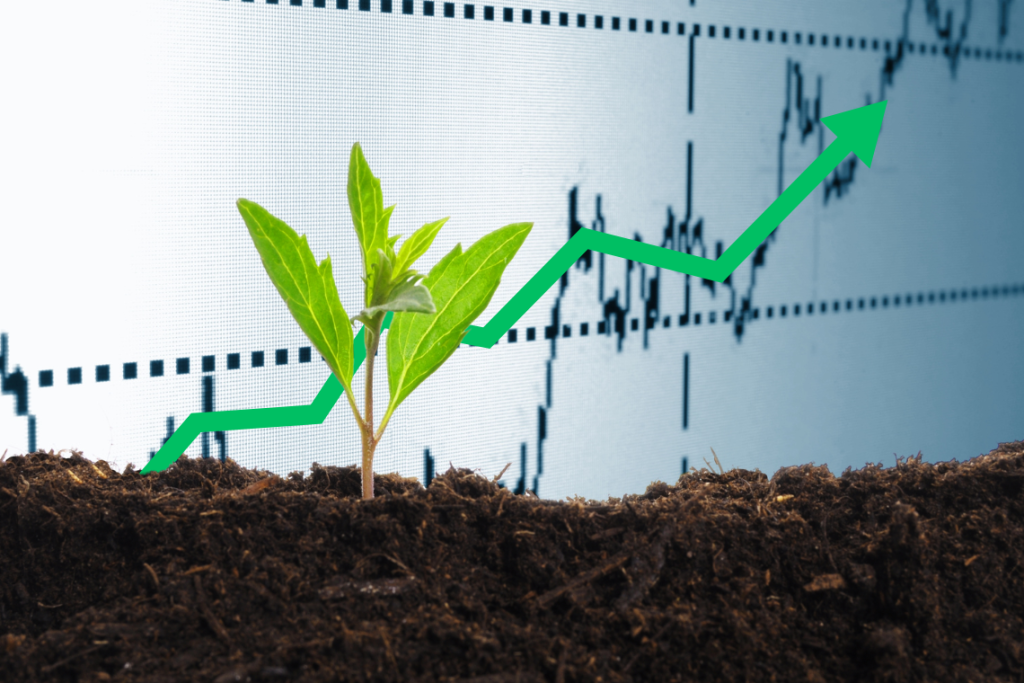 The Importance of Agricultural Inputs in Sustaining the Rural Economy