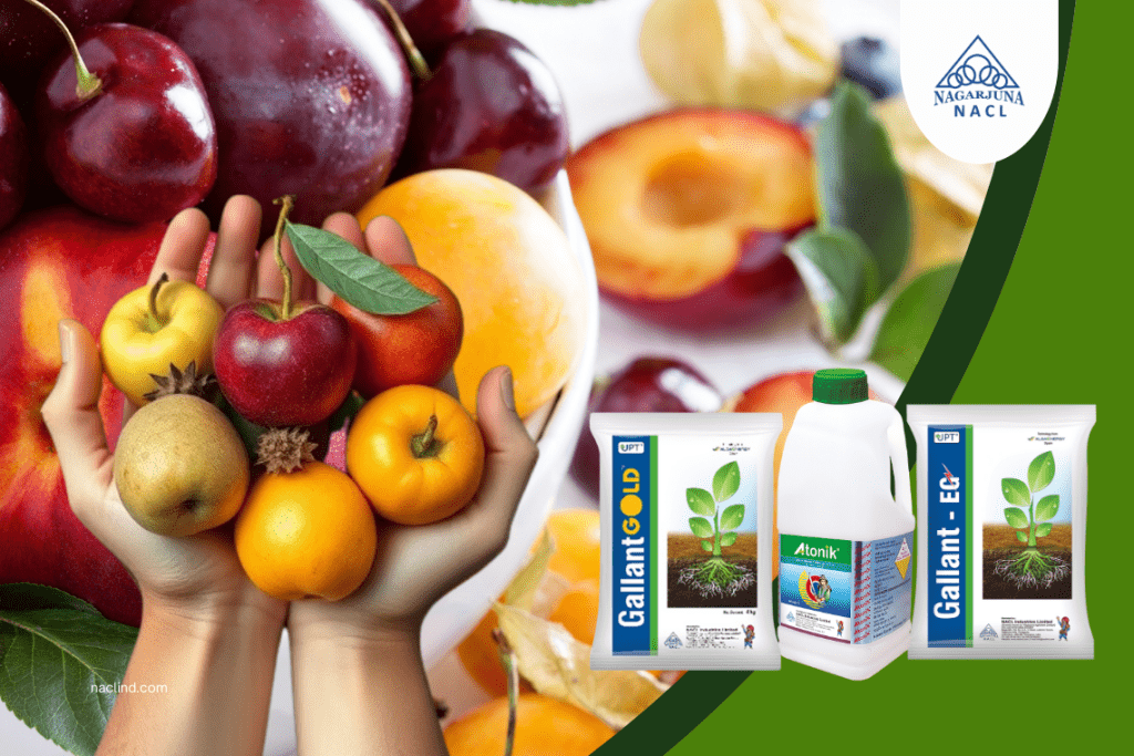 How Plant Growth Regulators can improve the Quality and Shelf Life of your Fruit Harvest