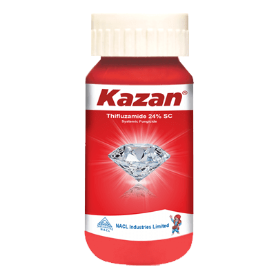 Kazan product