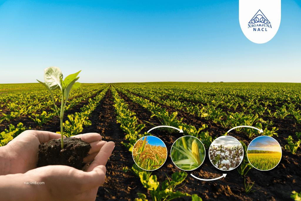 The Benefits of Crop Rotation for Soil Health And Crop Yield