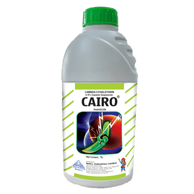 Cairo product