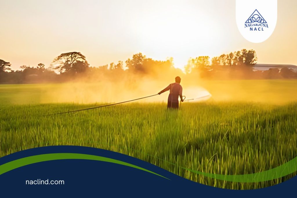 Common Mistakes In Agrochemical Use and How To Avoid Them