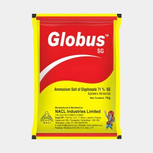 Globus SG