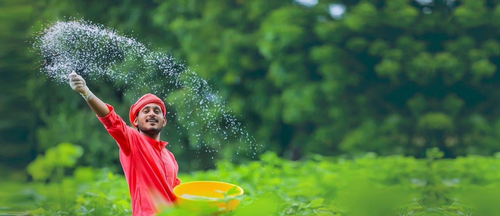 Person in red clothing spreading fertilizer in a green